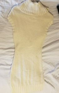 Express Sparkle Sweater Dress